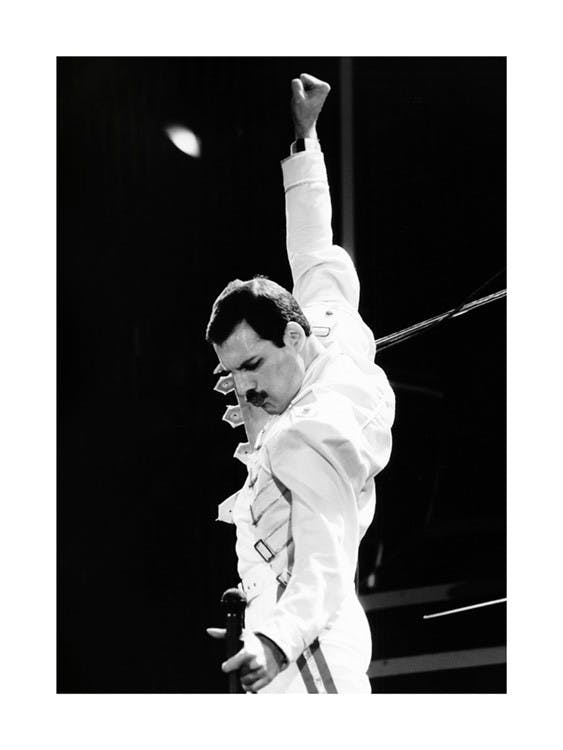 Freddie Mercury Plakat 0