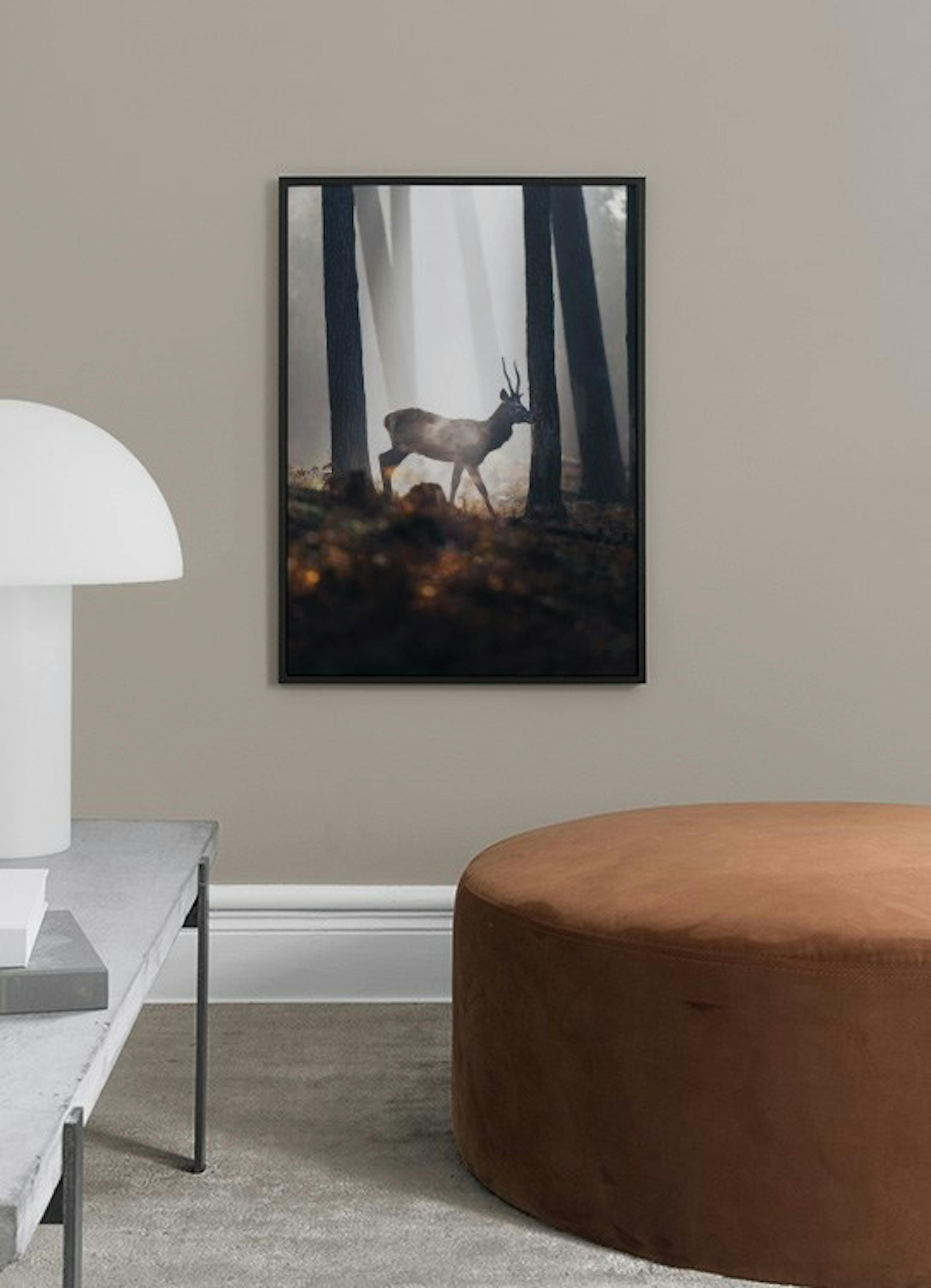 Product image: 2