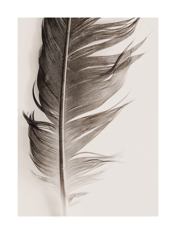 Feather Beige Poster 0