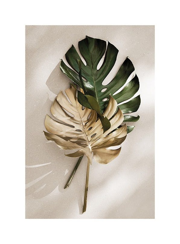 Gold Monstera No1 Plakat (30x40 cm)-Plakaty