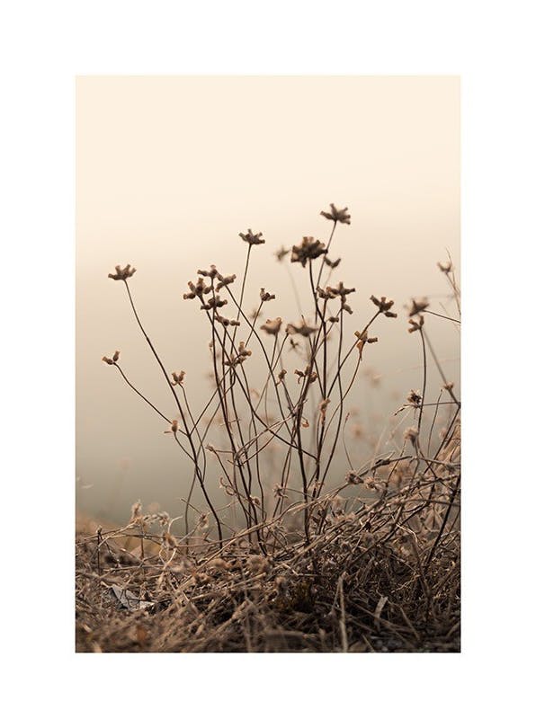 Withered Flowers on Field Affiche (21x30 cm) - Tableaux de fleurs