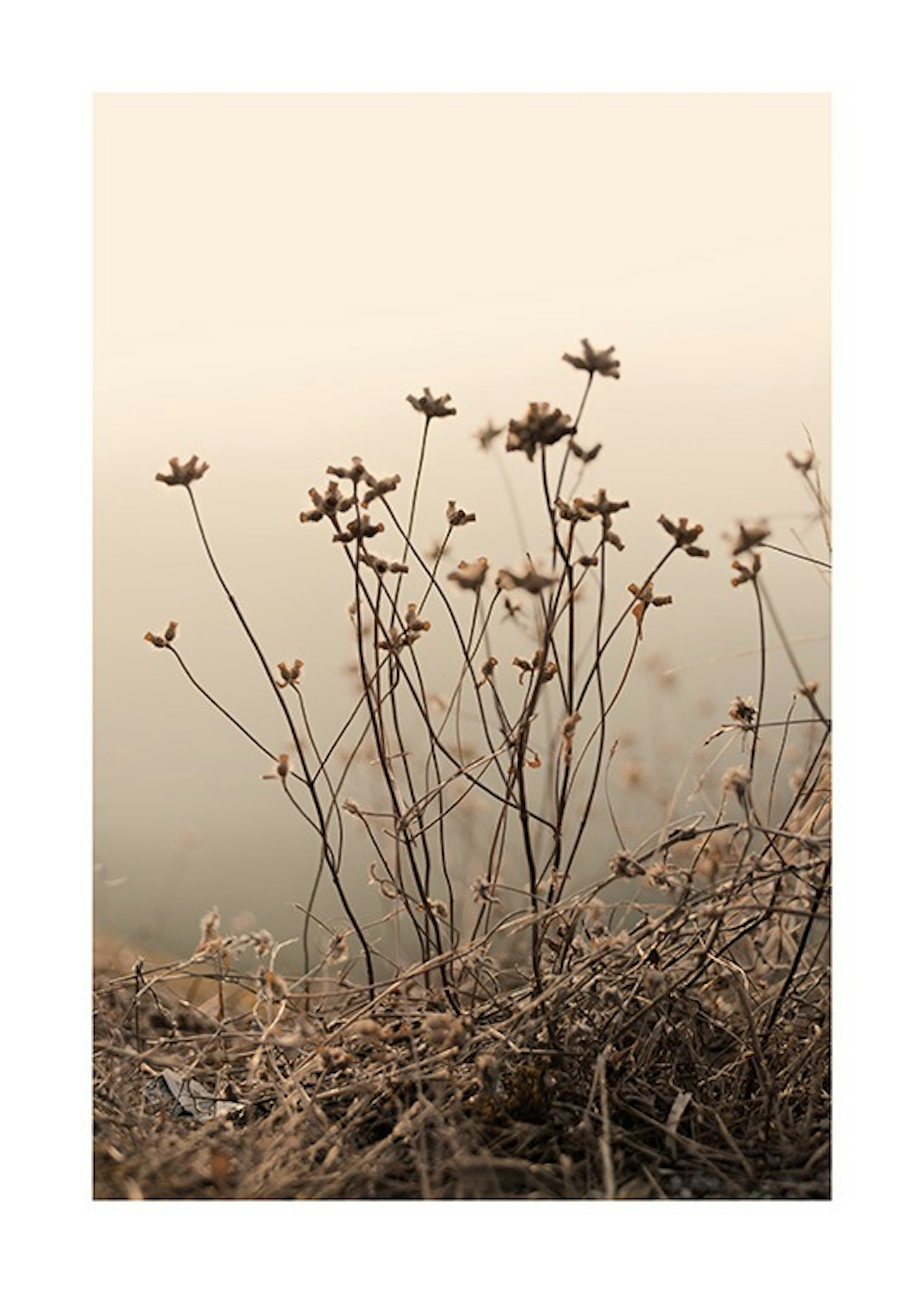 Product image: 1