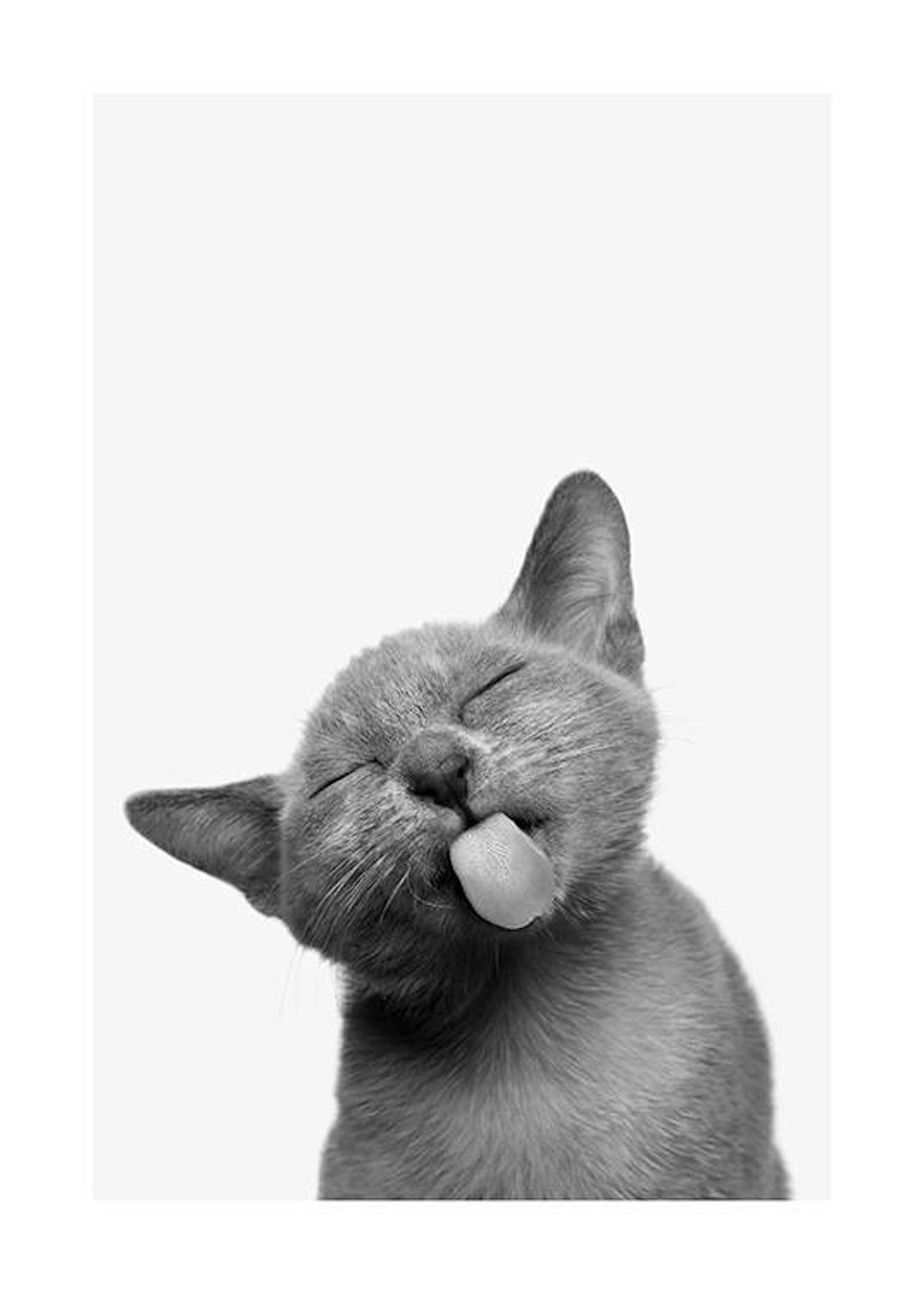 Cat Tongue Poster