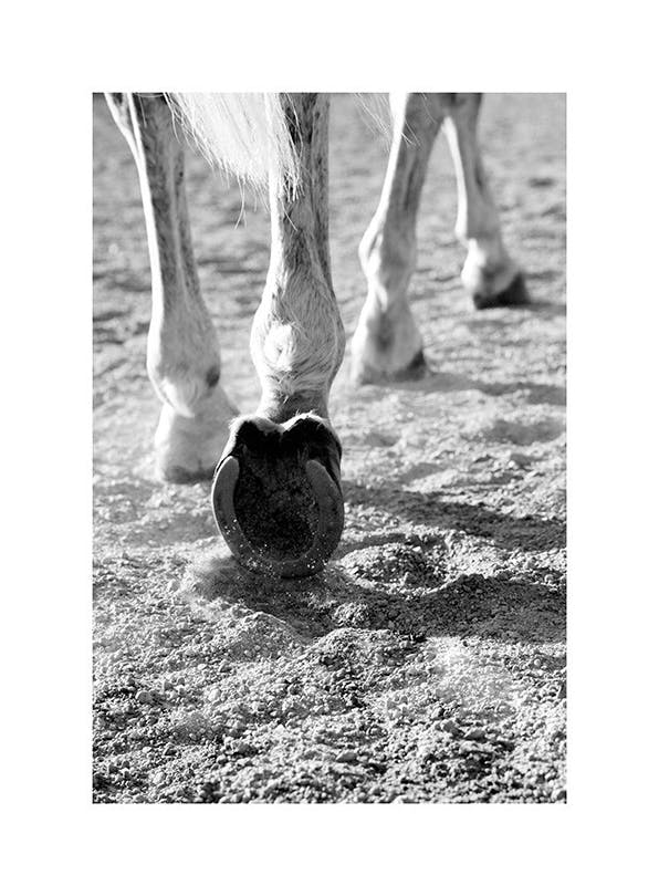 Horse Hoofs Poster (30x40 cm) - Poster