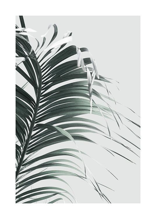 French Palm Leaf Poster 0