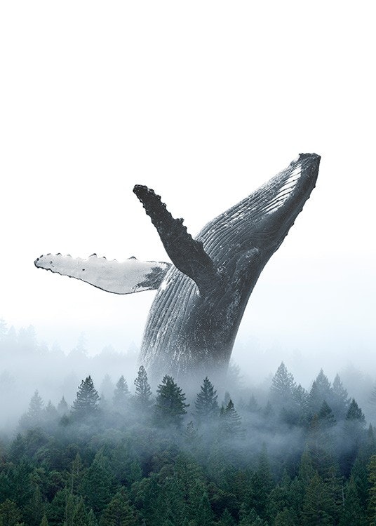Breaching Whale Poster 0