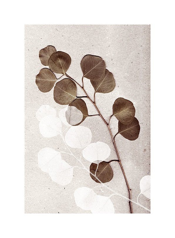 Eucalyptus No2 Plakat (30x40 cm)- Rośliny zielone