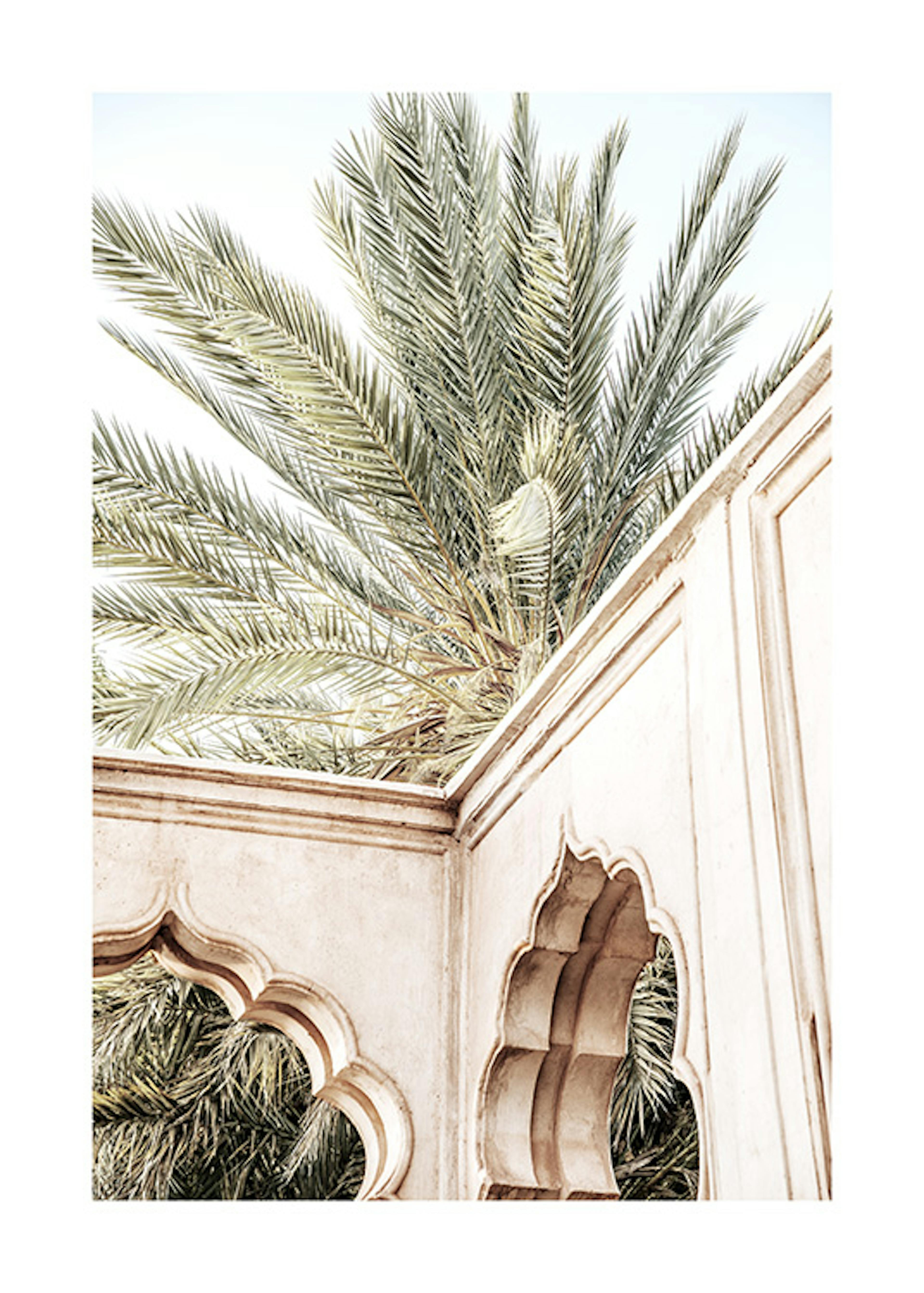 Palm Curves Poster 0