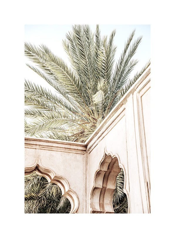 Palm Curves Plakat (30x40 cm)- Fotografia