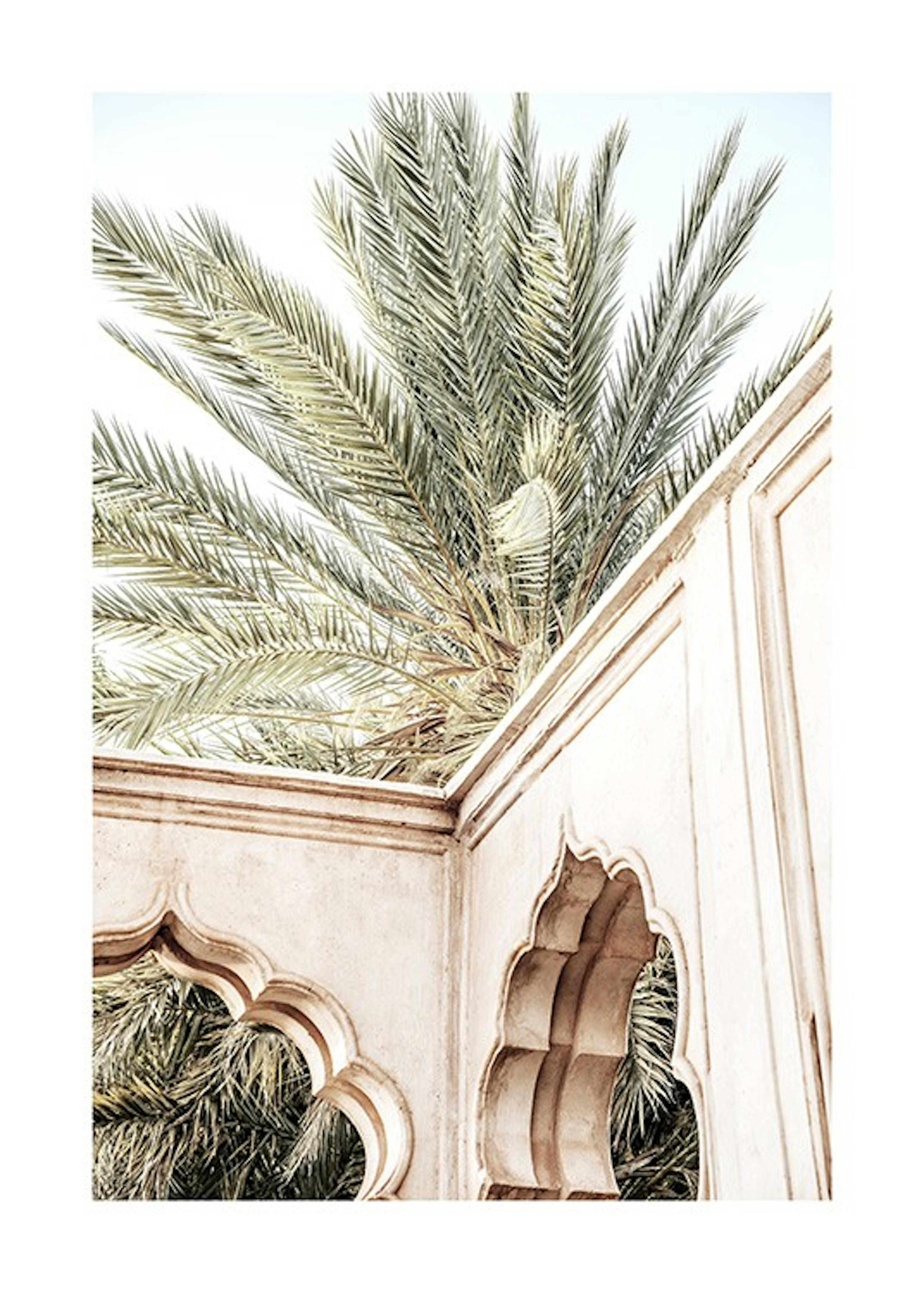 Palm Curves Poster 0