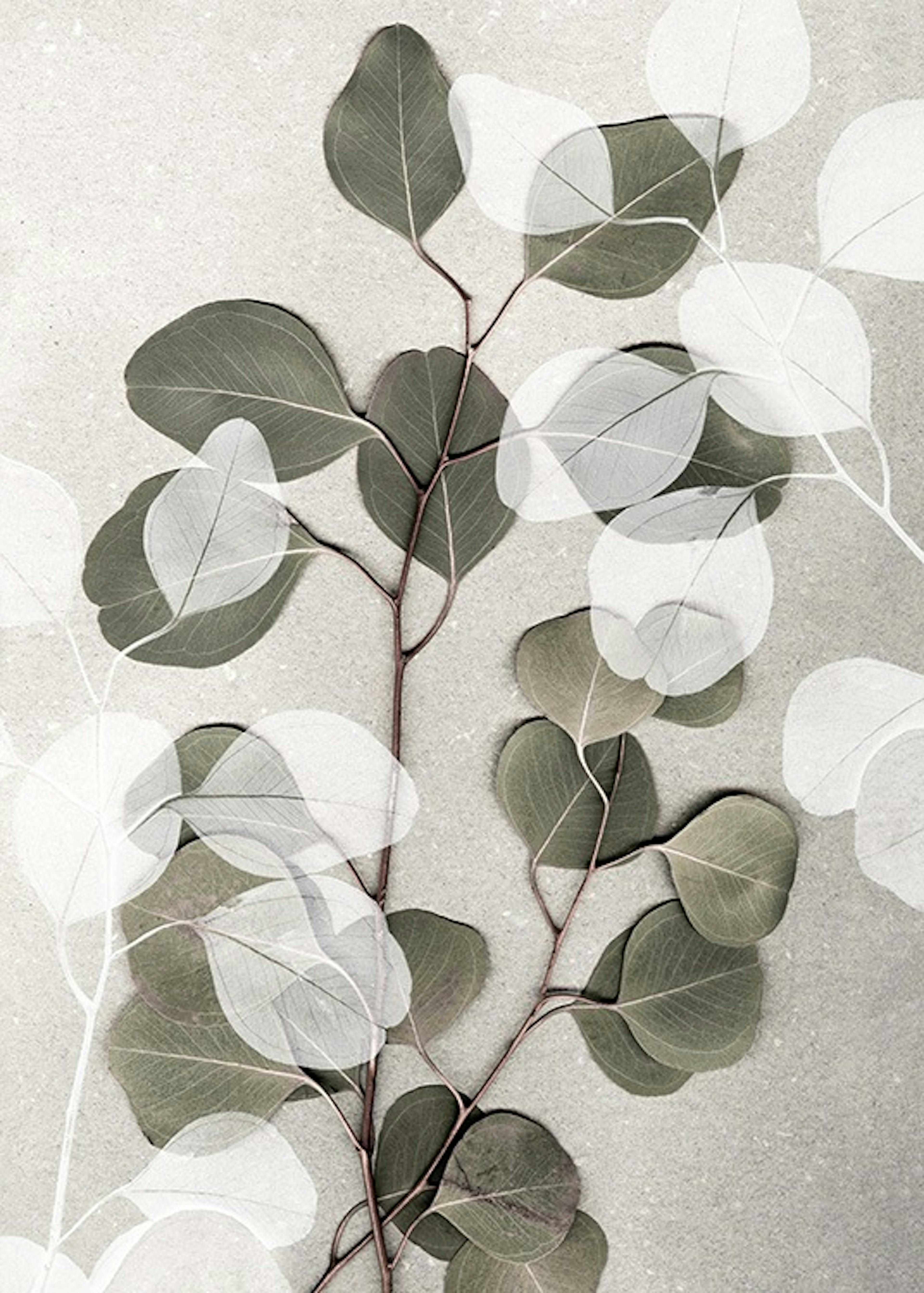 Product image: 1