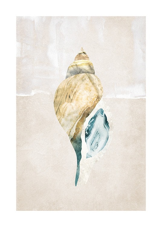 Graphic Seashell No2 Affiche 0