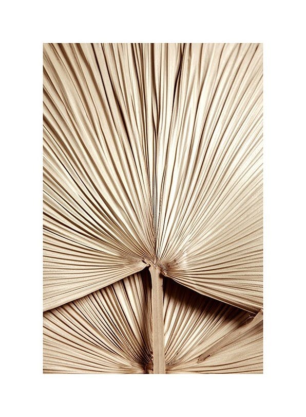 Golden Palm Leaf No2 Plakat (30x40 cm)- Plakaty z palmami