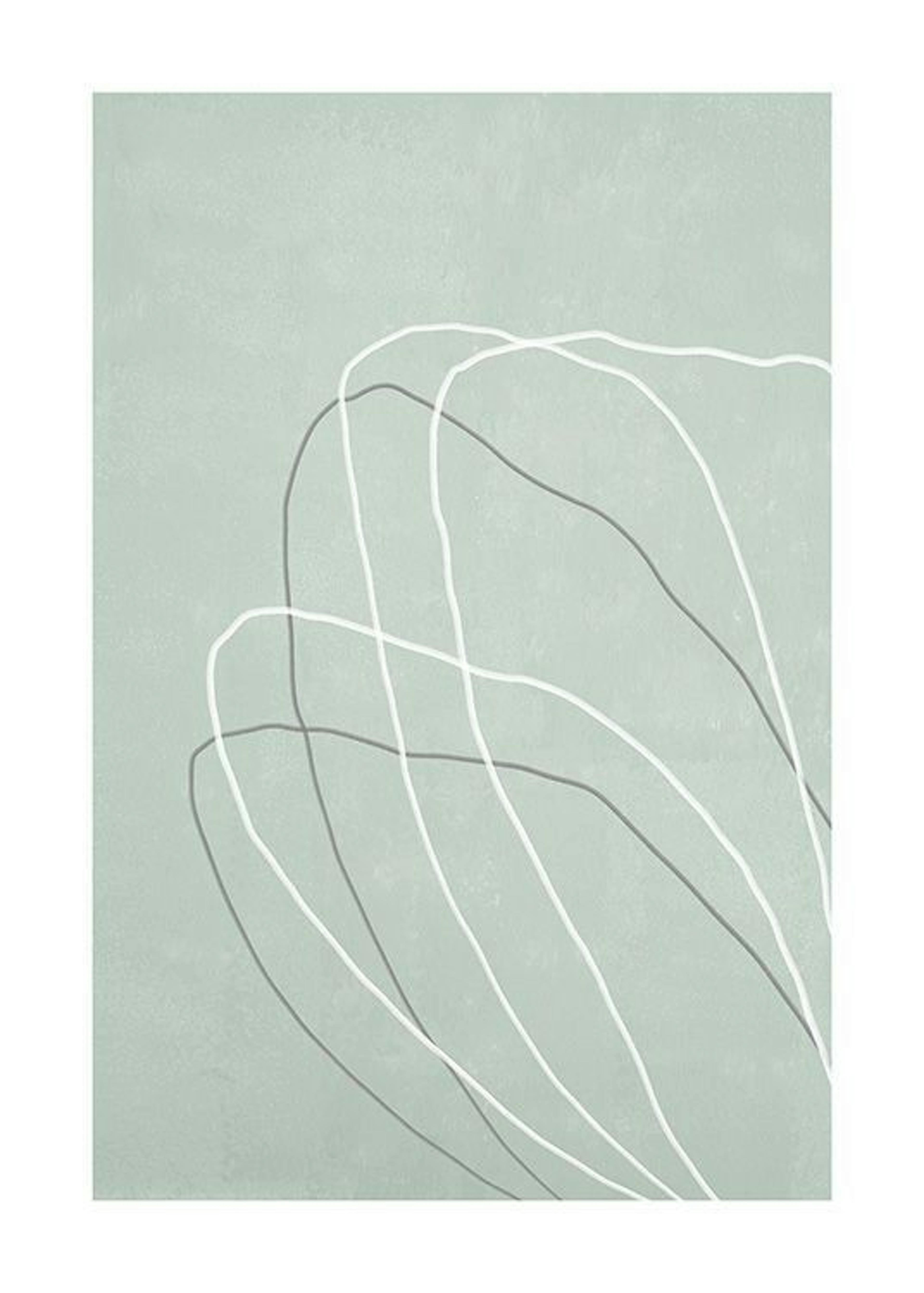 Floral Lines No2 Poster