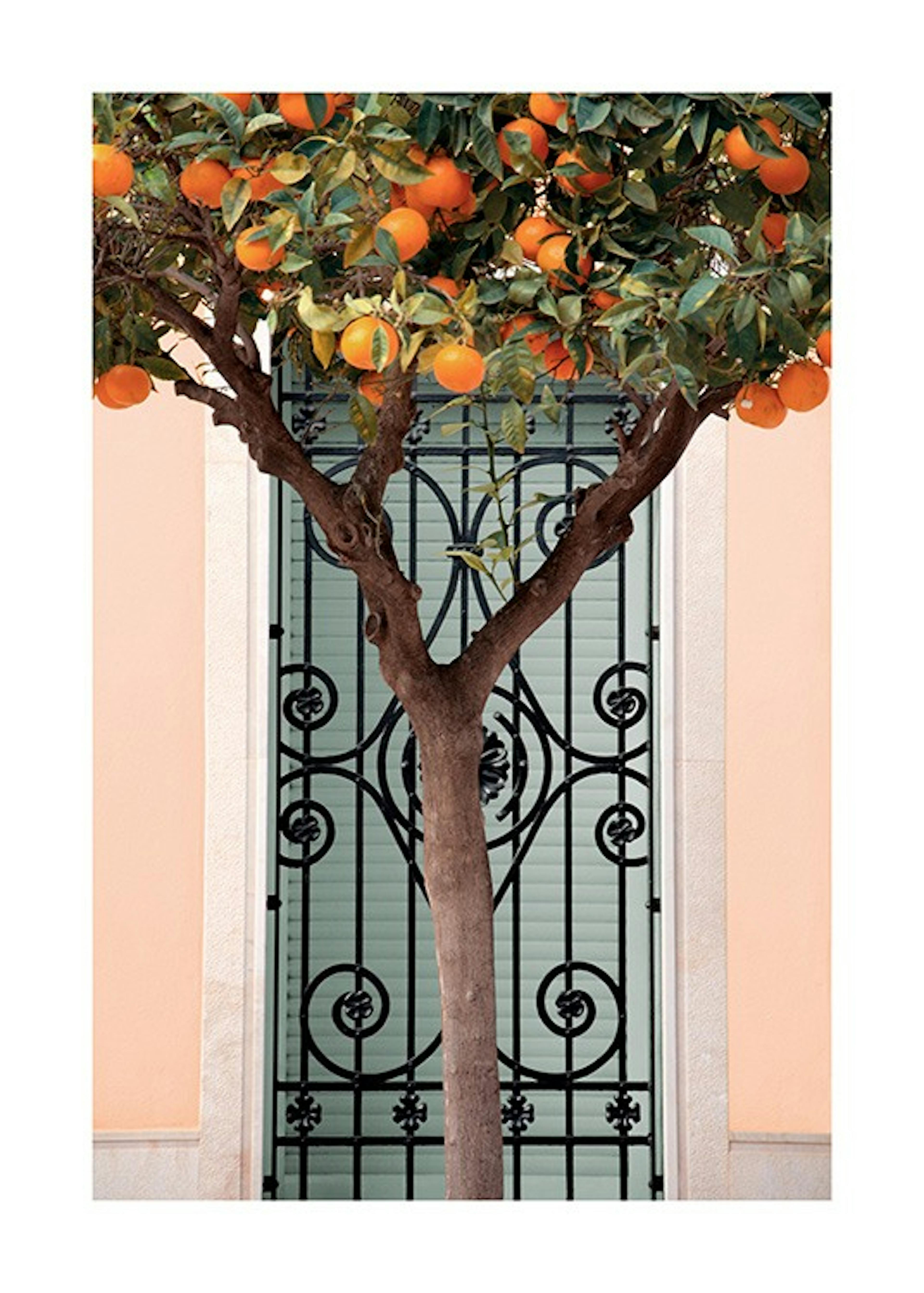 Product image: 1