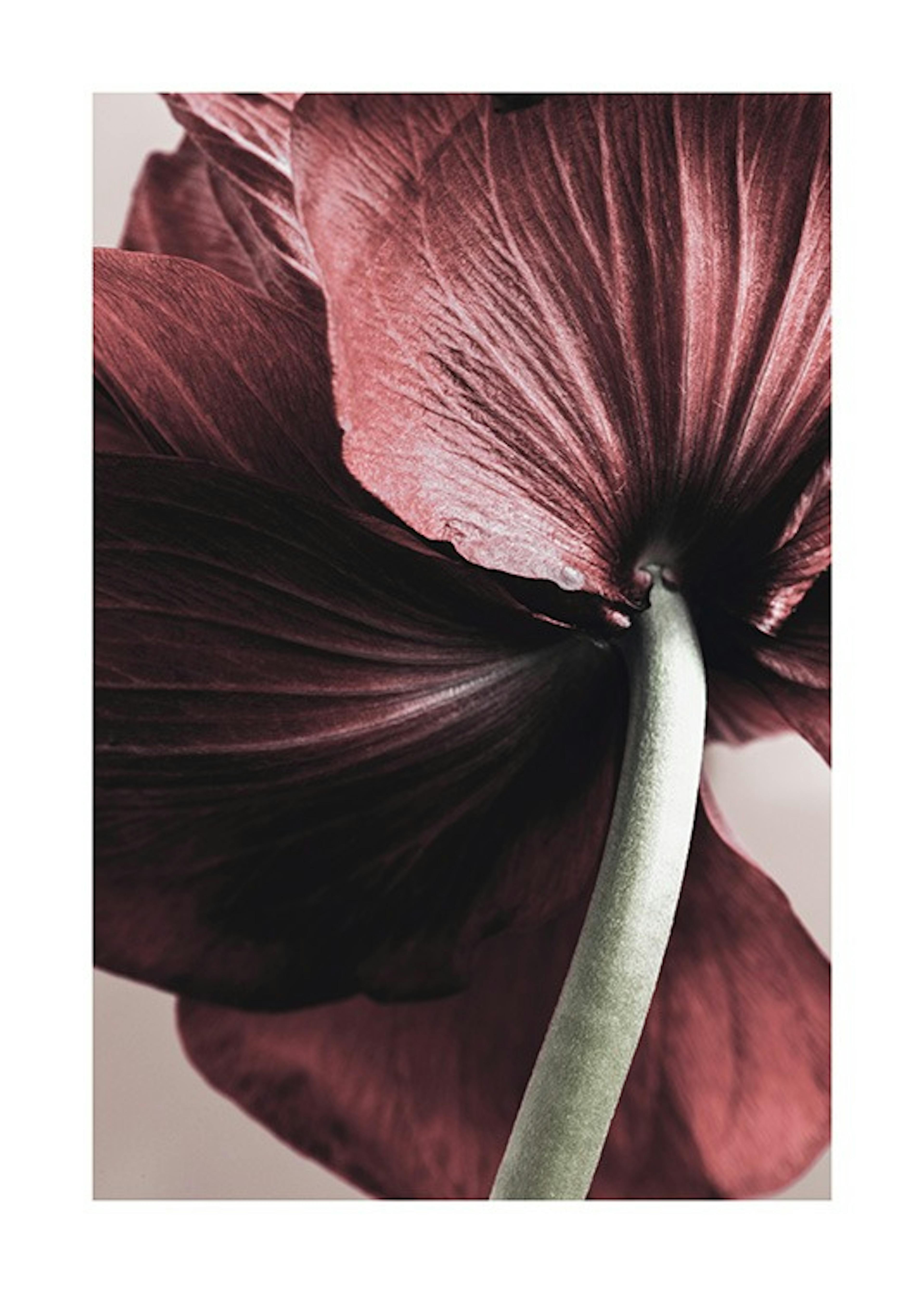 Product image: 1