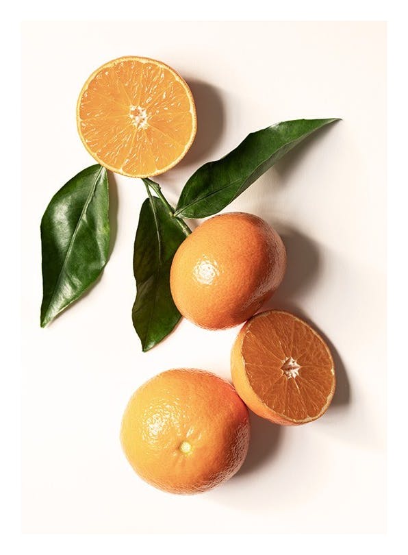 Garden Oranges Poster (50x70 cm)