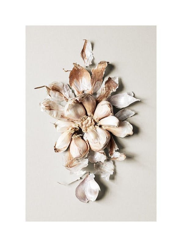 Flower of Garlic Poster (30x40 cm)