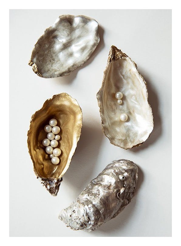 Oyster Shells No1 Plakat (50x70 cm)- Plakaty do kuchni