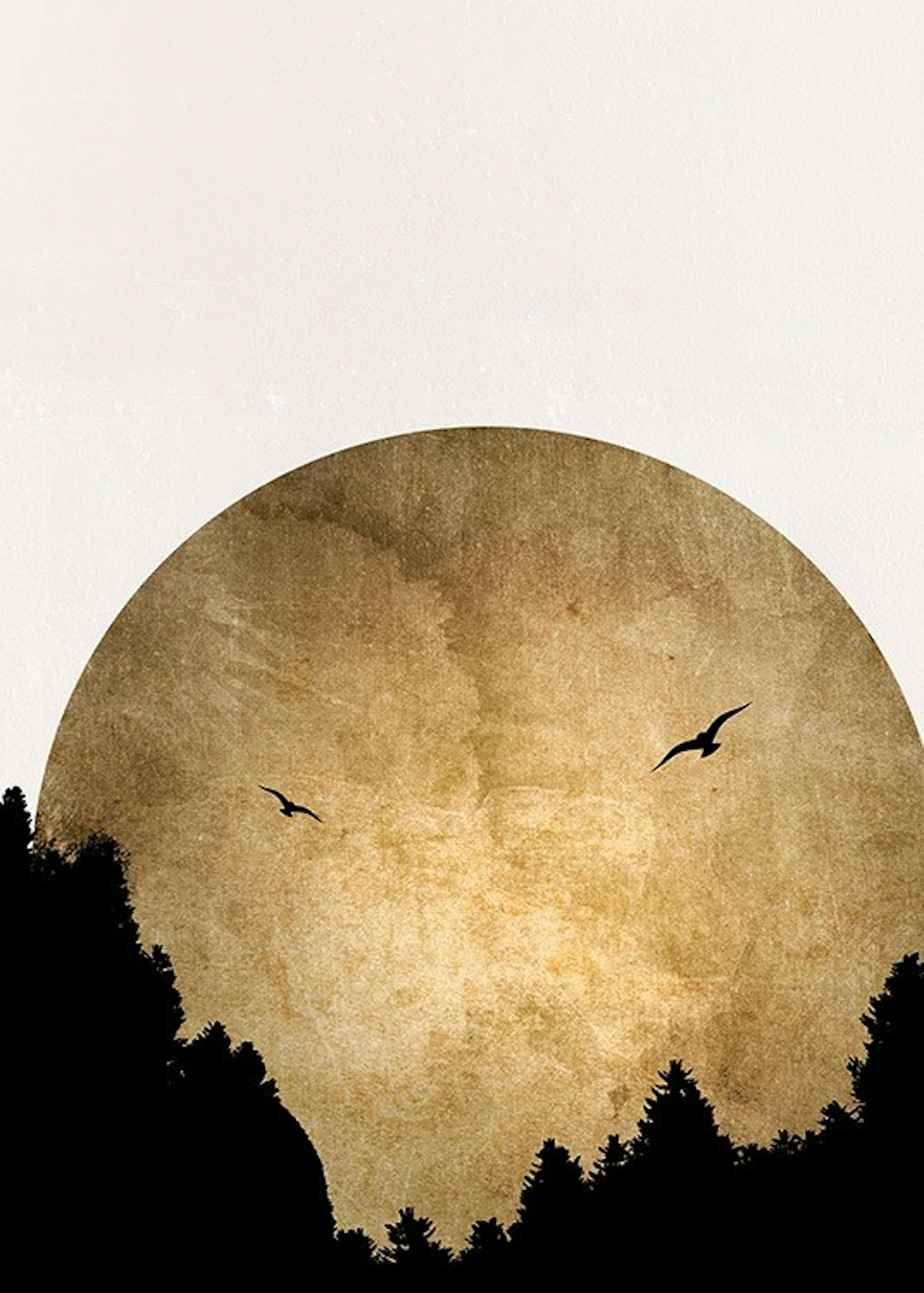 Boris Draschoff / Kubistika - Two Birds Poster 0