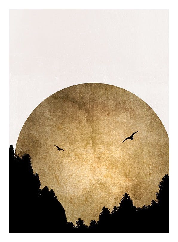 Boris Draschoff / Kubistika - Two Birds Plakat (50x70 cm)- Grafiki