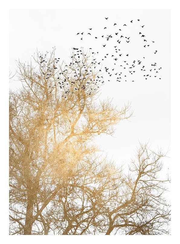 Boris Draschoff / Kubistika - Golden Skies Poster (30x40 cm)- Arte grafica e poster