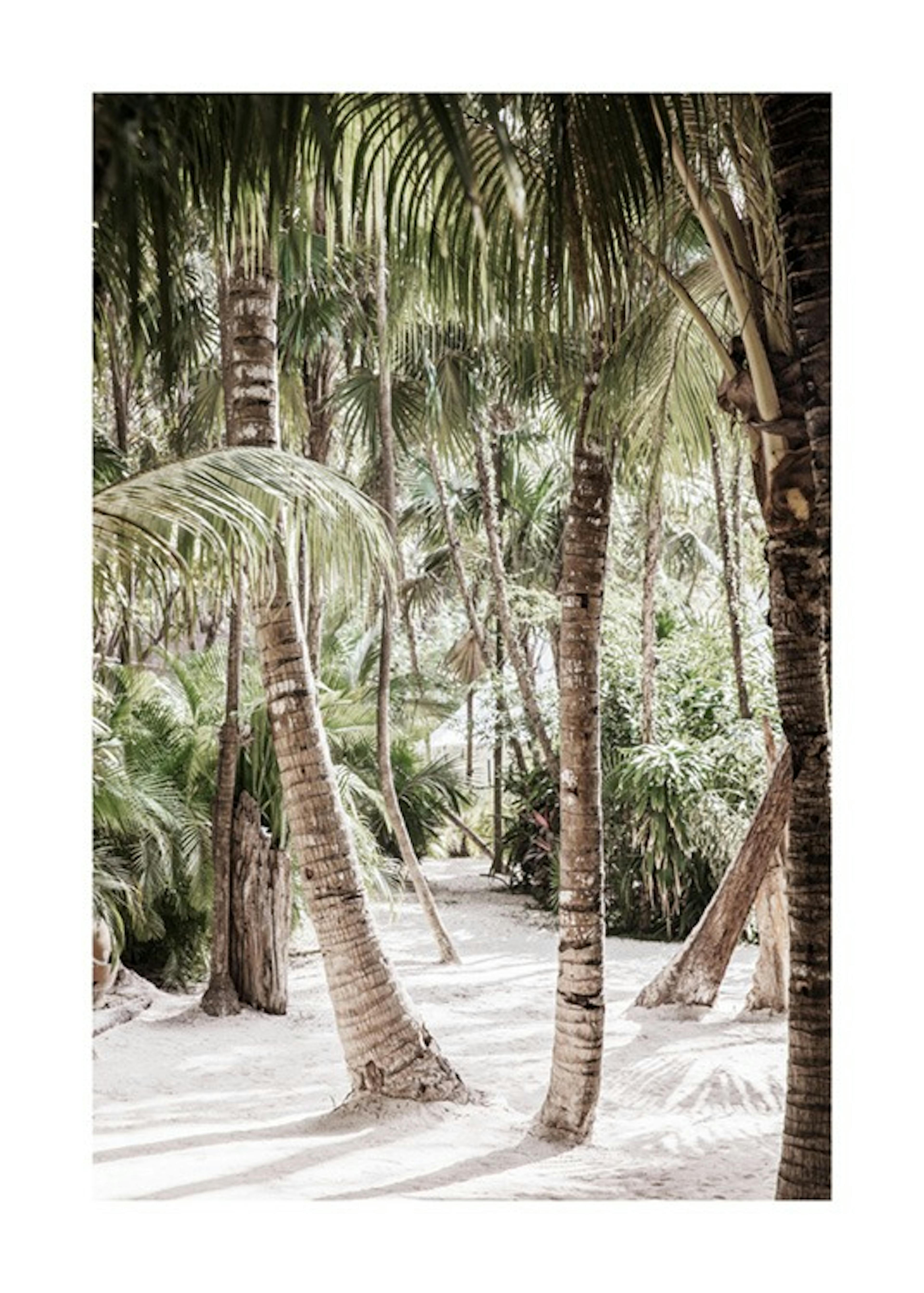 Between the Palms 포스터 0