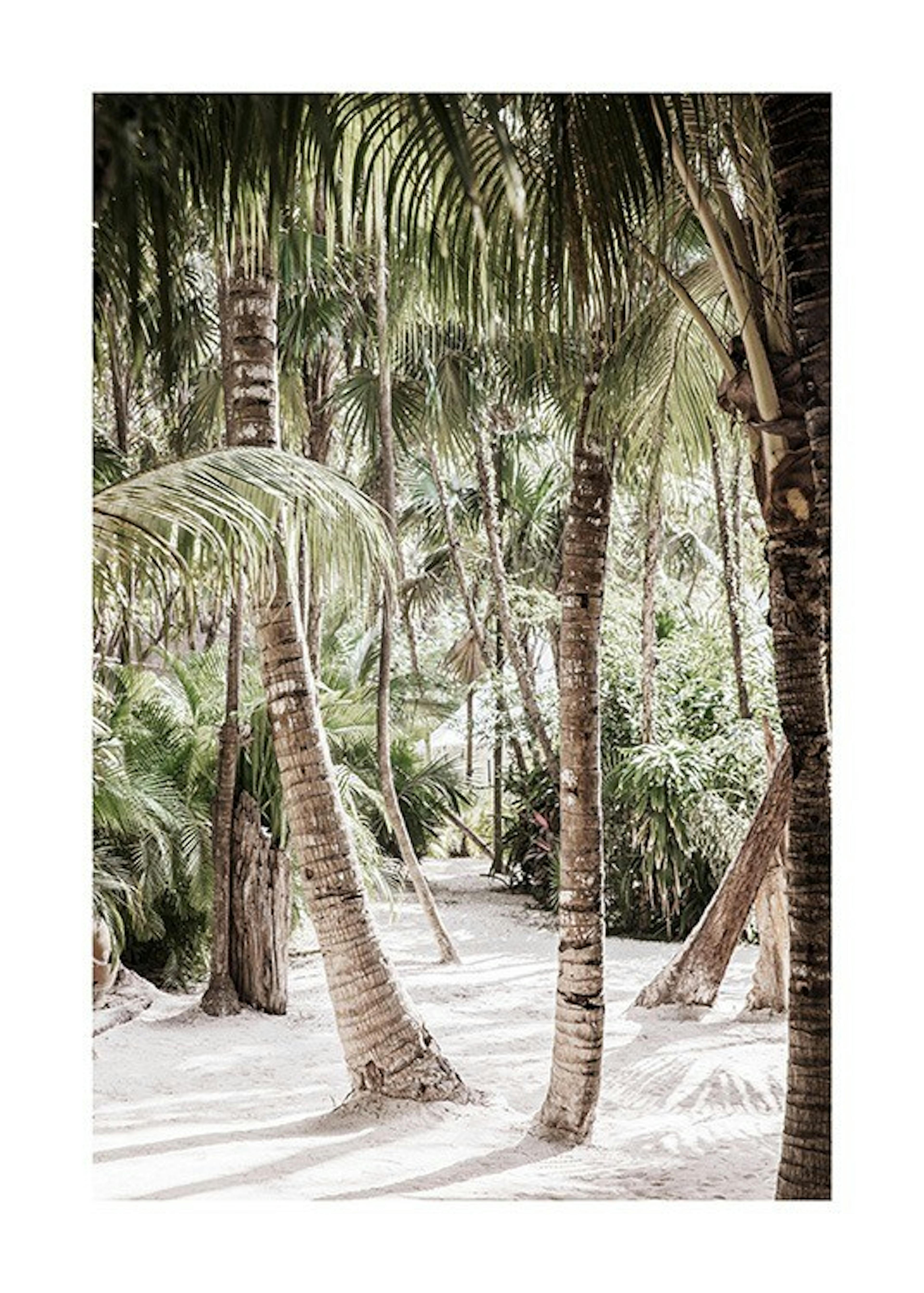 Between the Palms Print
