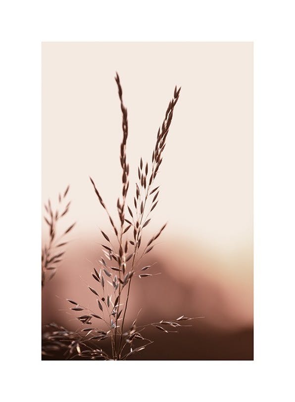Sunset Meadow Plakat (30x40 cm)- Rośliny zielone