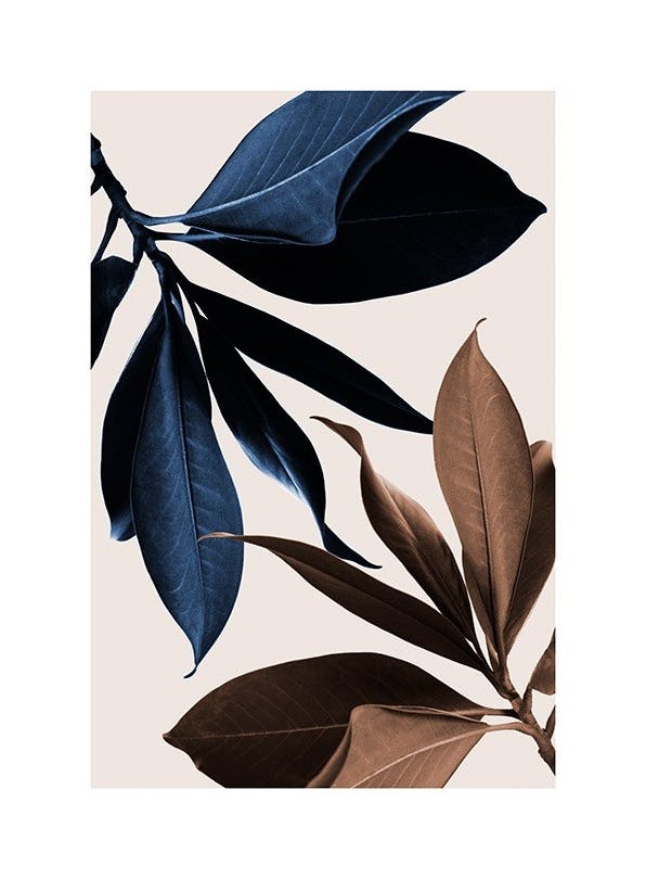 Blue Magnolia No1 Print (30x40 cm)