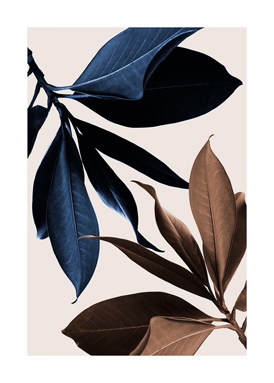 Blue Magnolia No1 Poster - Hojas de magnolia 