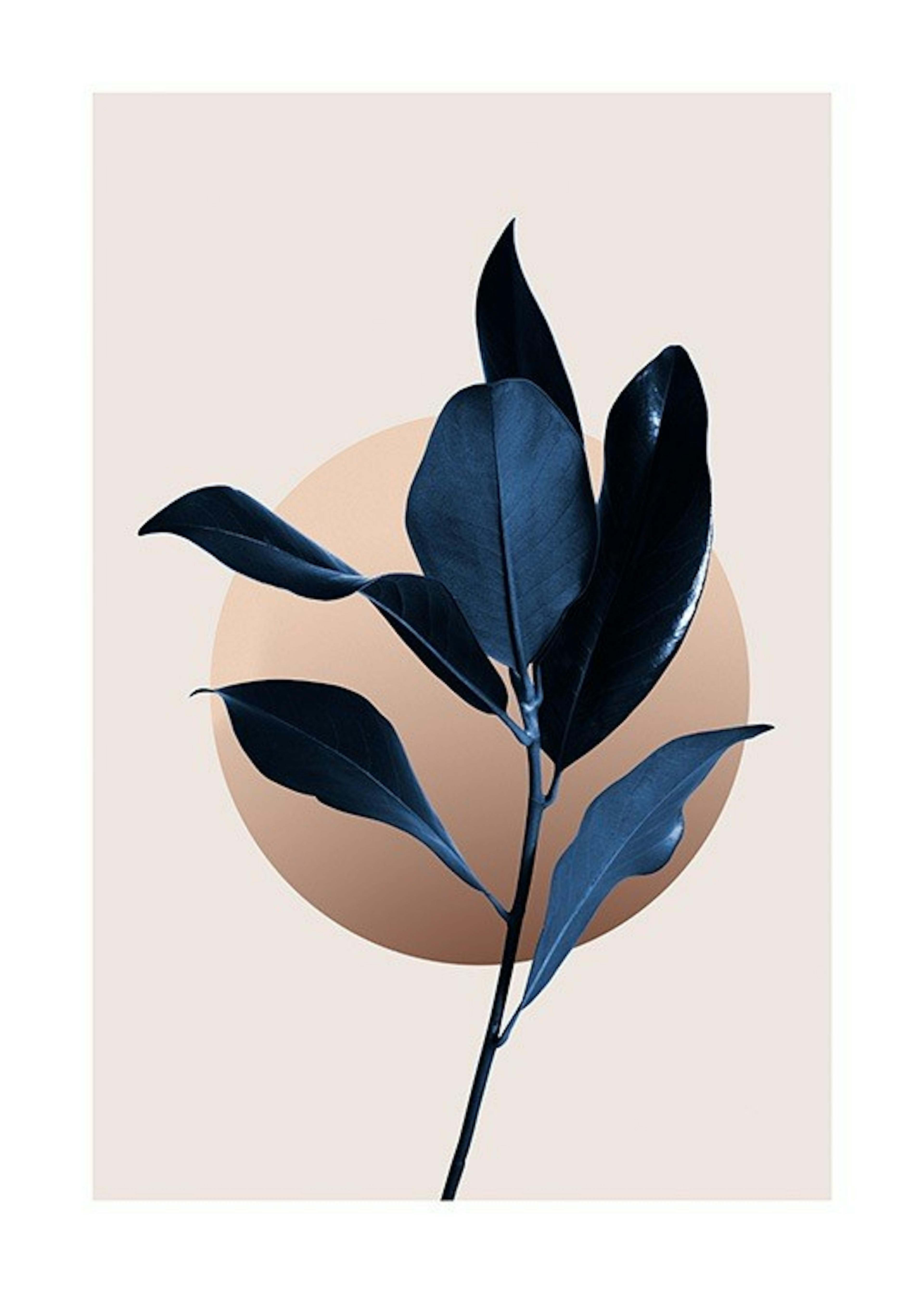 Blue Magnolia No2 Plakát 0
