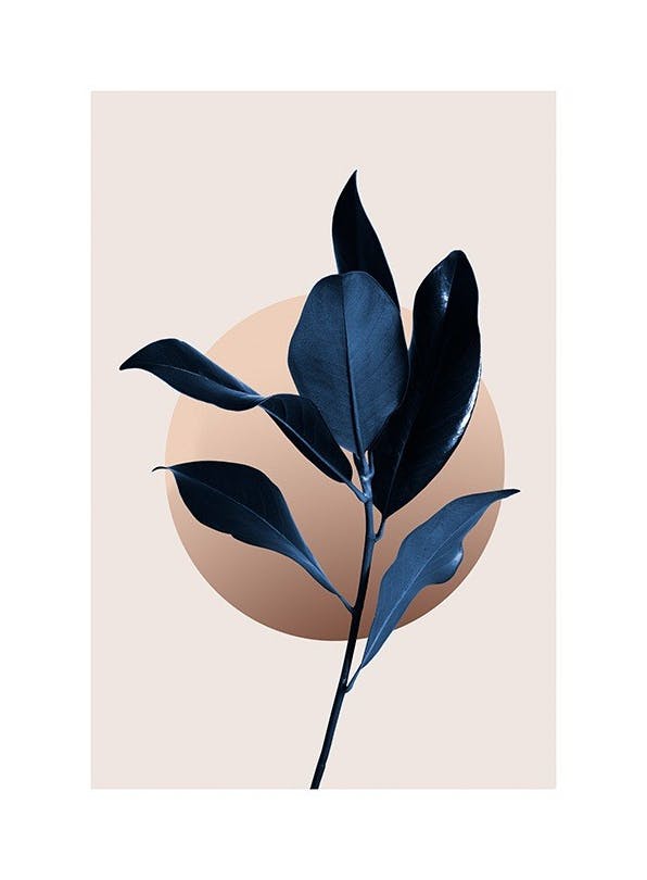 Blue Magnolia No2 Affiche (30x40 cm) - Tableaux de plantes
