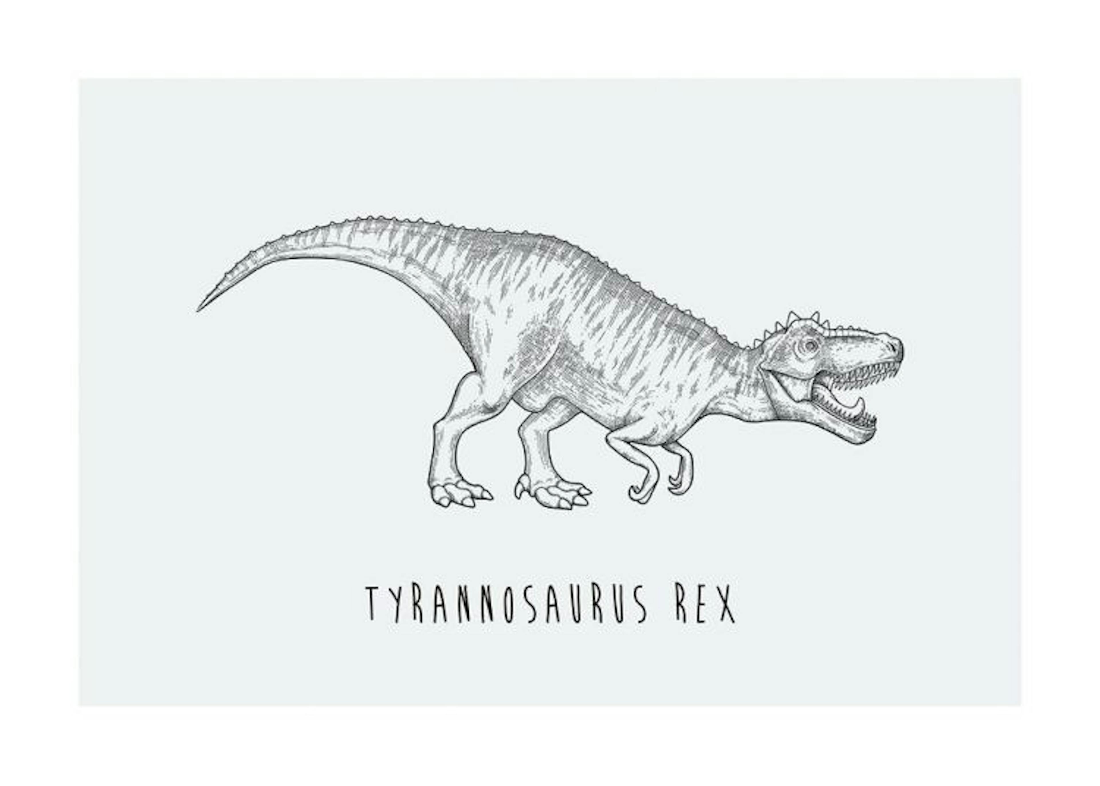 Tyrannosaurus Rex Poster