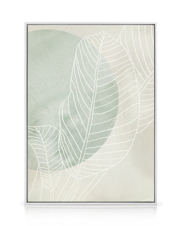 Canvas Prints Ficus Line Drawing Canvas print (50x70 cm - White Frame)