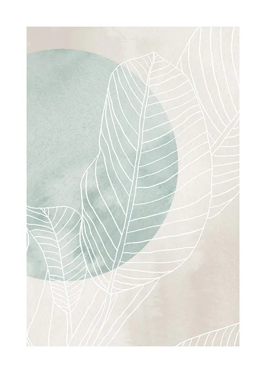 Ficus Line Drawing Poster 0