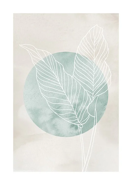 Calathea Line Drawing Poster 0
