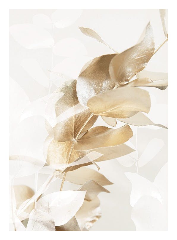 Golden Eucalyptus No1 Affiche (21x30 cm) - Tableaux de plantes