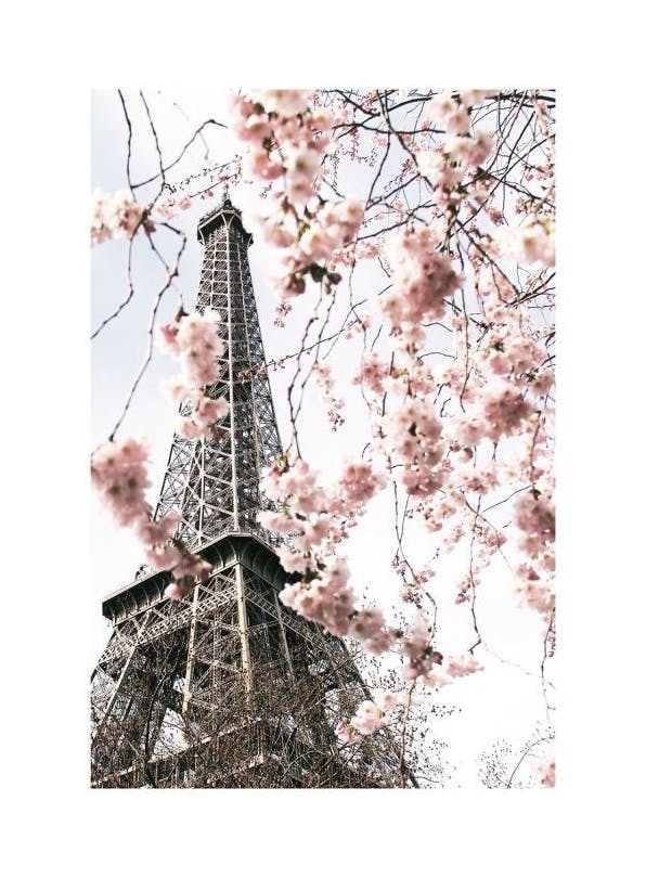 Prints - Blooming Paris Print (70x100 cm) - Paris prints