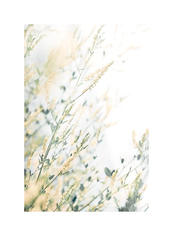 Light Floral Plakat (30x40 cm)- Plakaty botaniczne