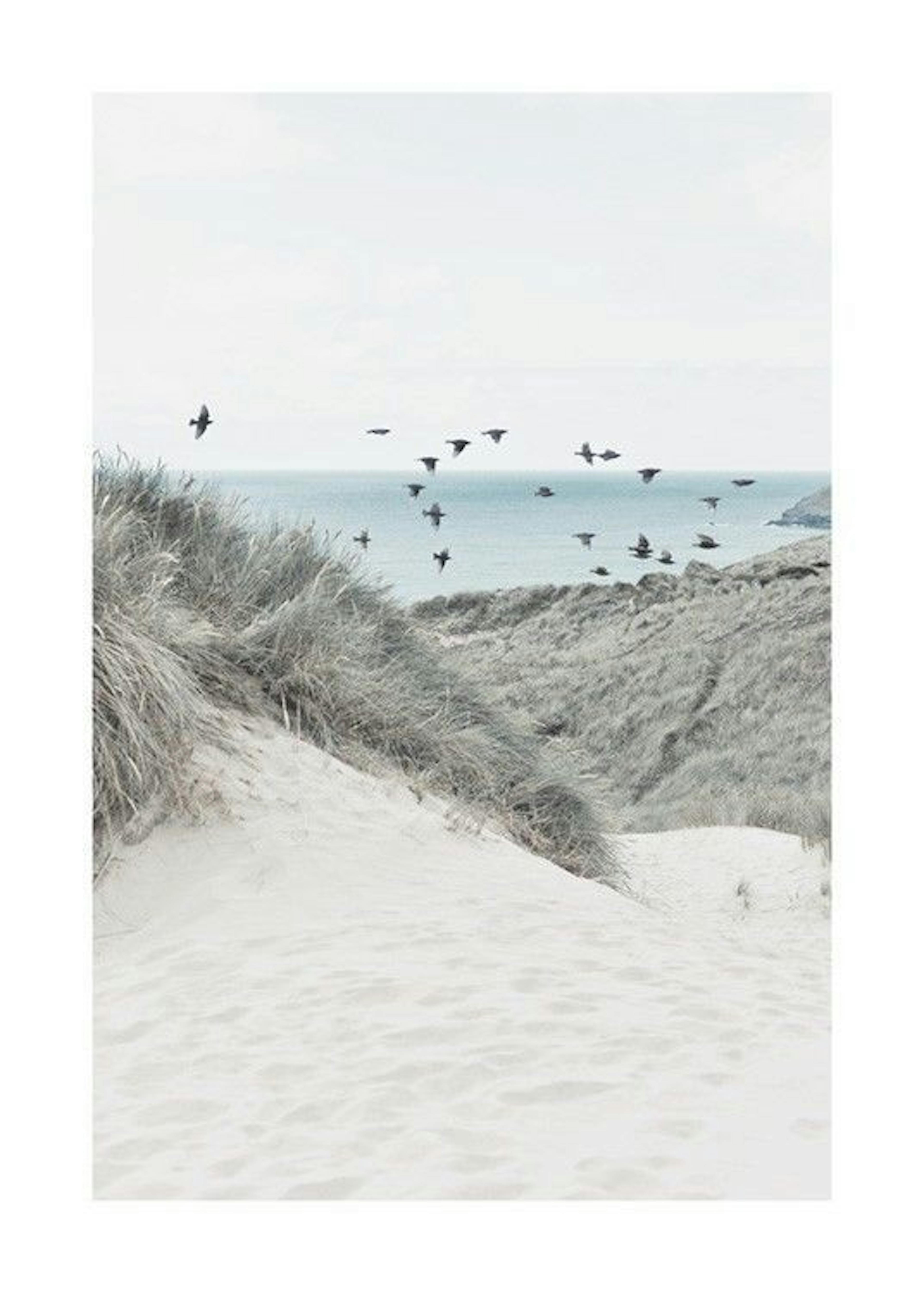 Beach Dune Plakát 0