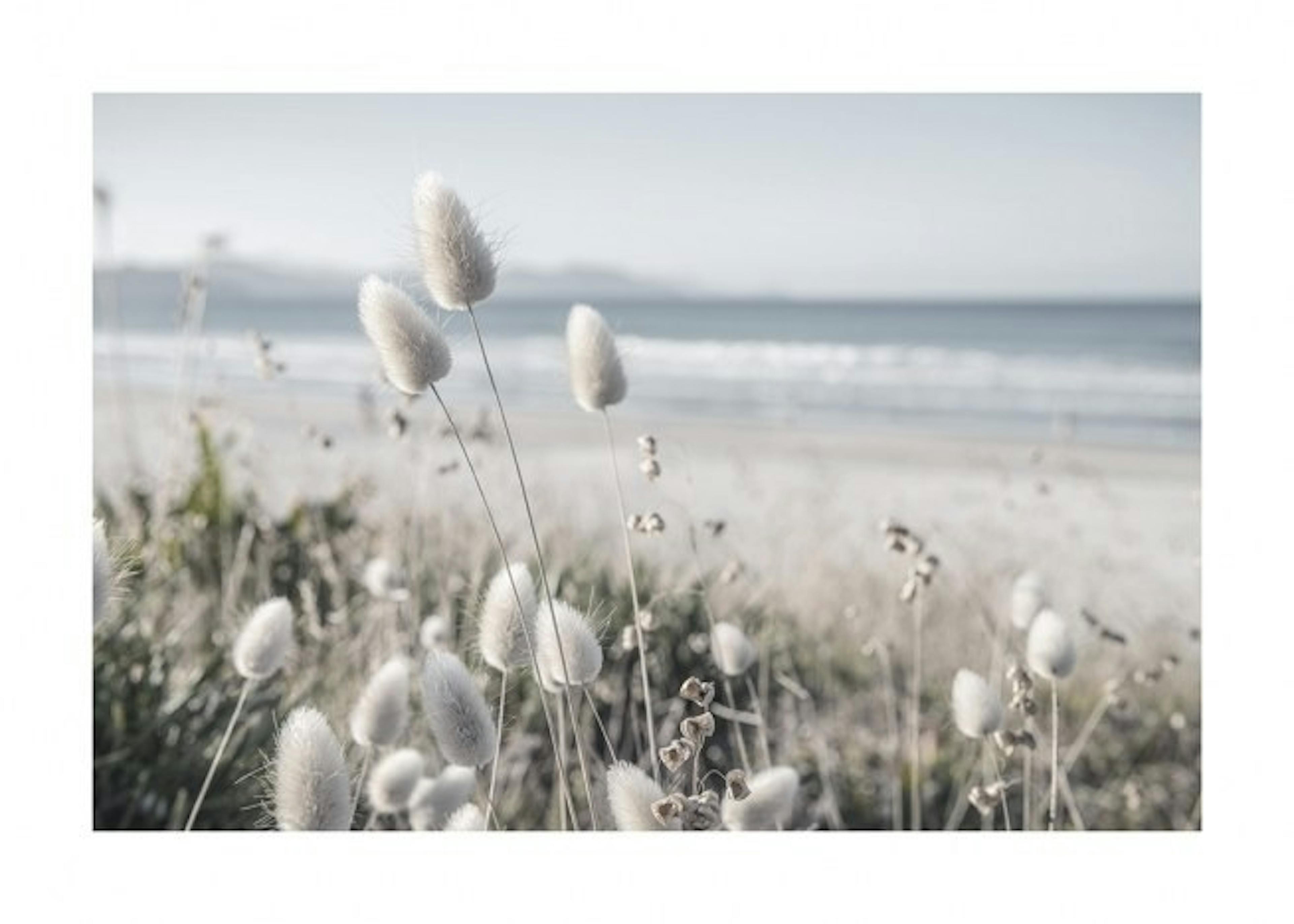 Beach Dune Grass Print 0