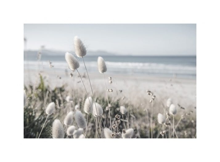 Beach Dune Grass Poster (30x40 cm)- Quadri di spiagge