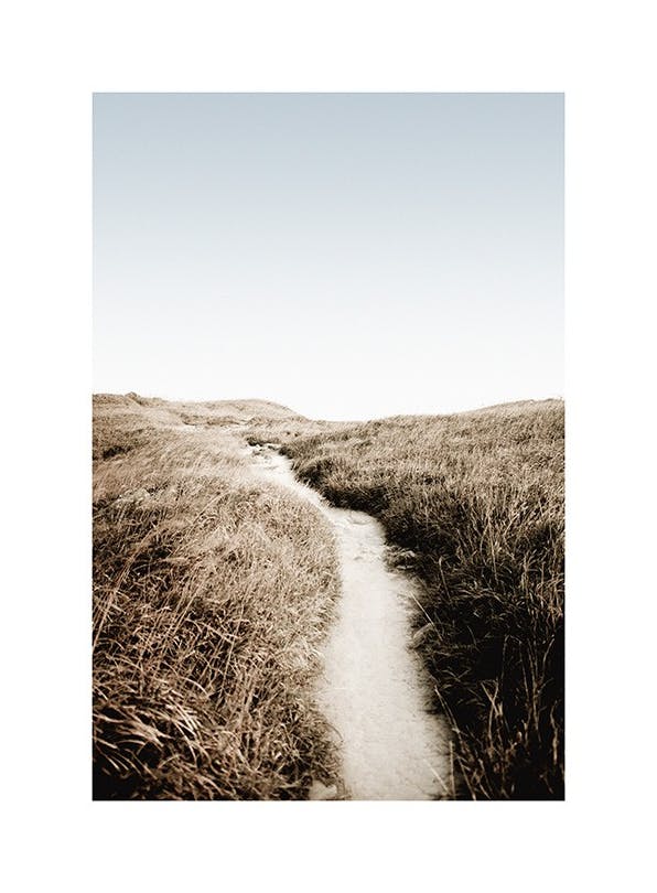 Sunset Path Affiche (50x70 cm) - Tableaux de paysages