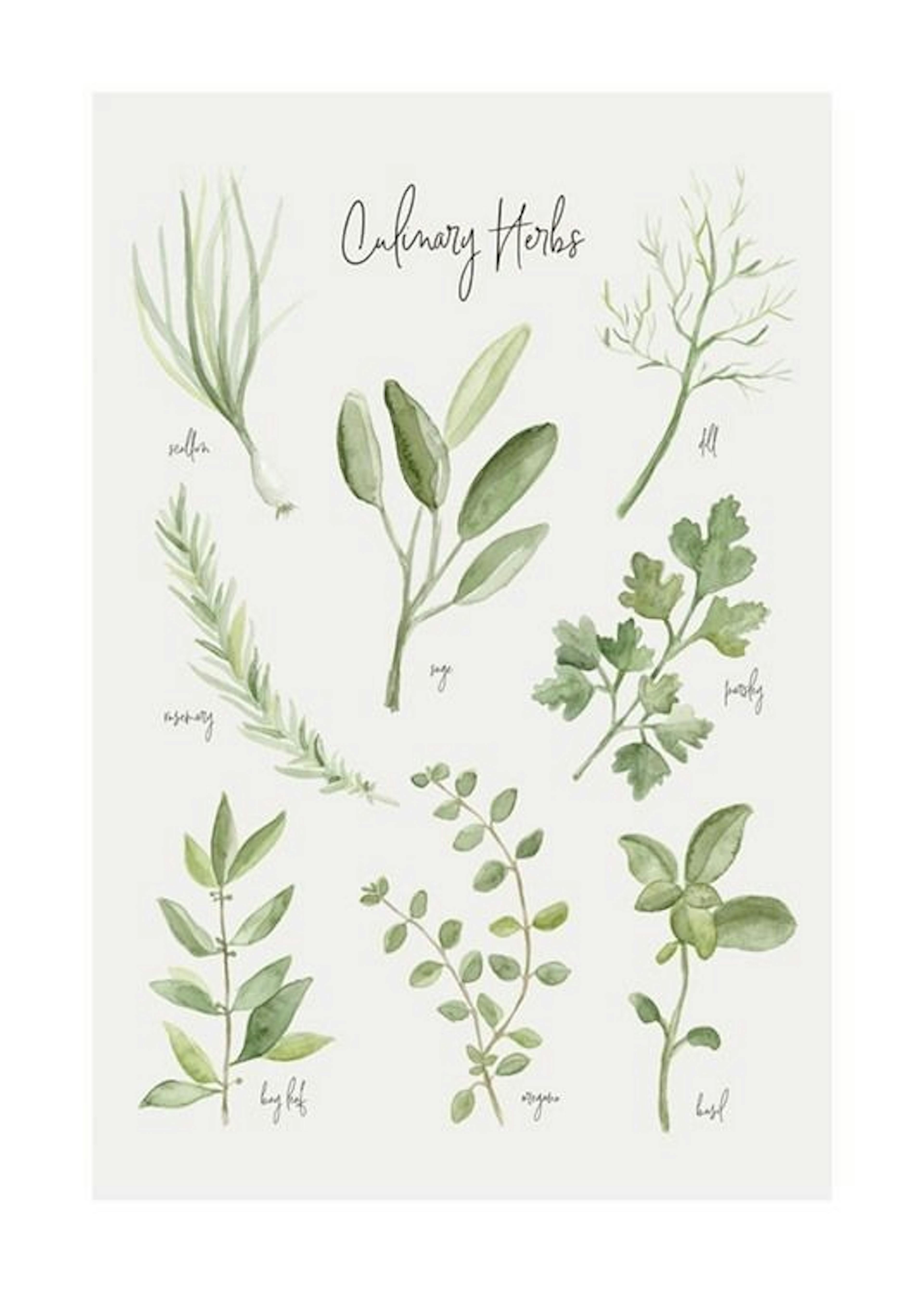 Summer Herbs Plakat 0