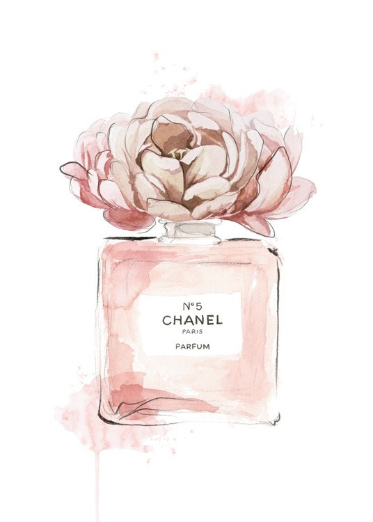Coco Chanel Paris No.5 Black Perfume With Pink Flowers In White