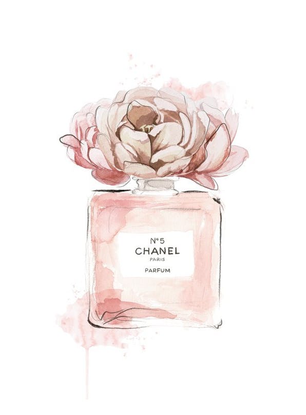 Scent of Roses Affiche (40x50 cm) - Illustrations