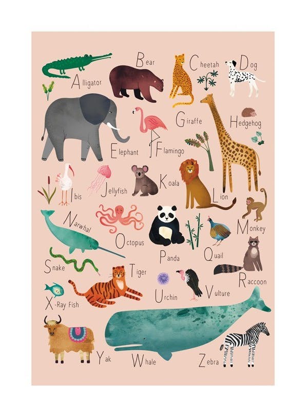 Alphabet Animals 1 Plakat (21x30 cm)- Plakaty z alfabetem