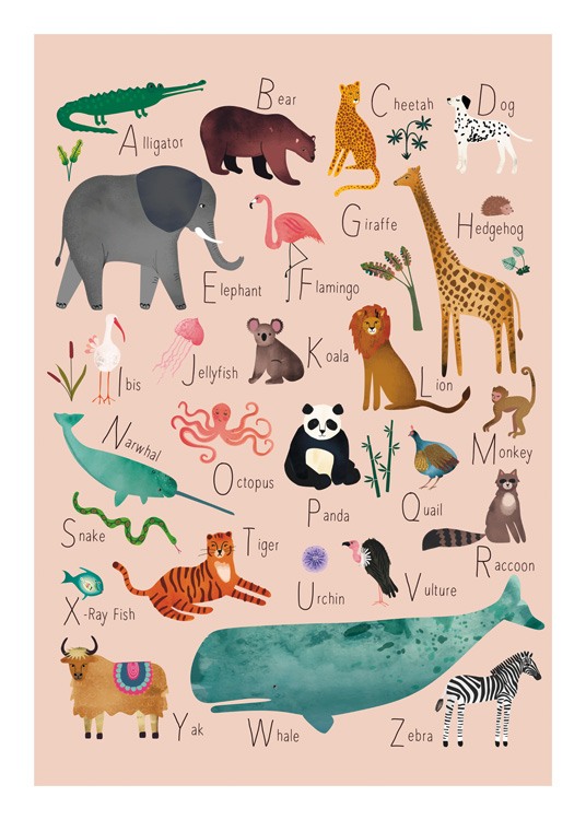 Alphabet Animals 1 Poster - Animals of the alphabet 