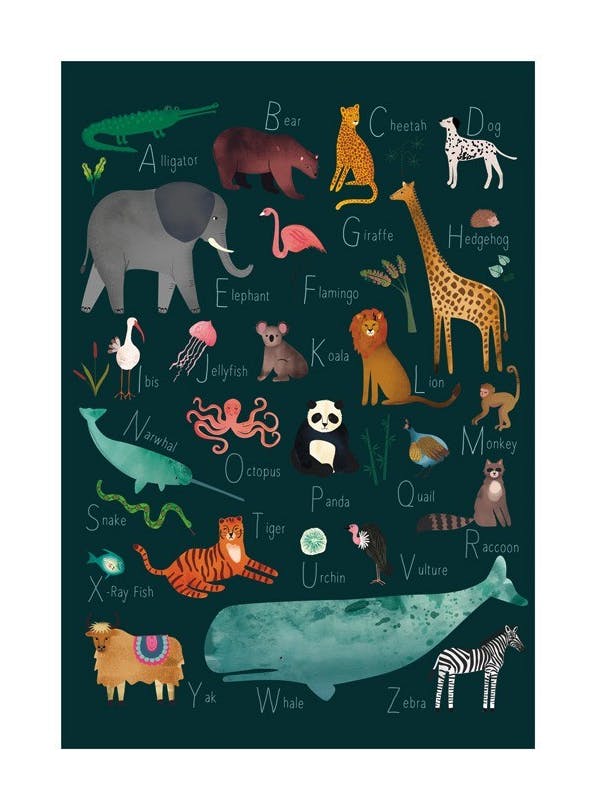 Alphabet Animals 2 Affiche (21x30 cm) - Tableaux de l'alphabet